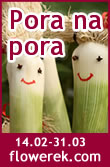time for leeks