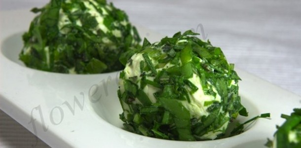 Cheese balls in a green coating of wild garlic, dandelion, chives and nettle