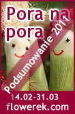 Time for Leeks – Roundup