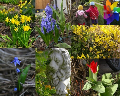 spring
