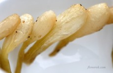 Green onion skewers