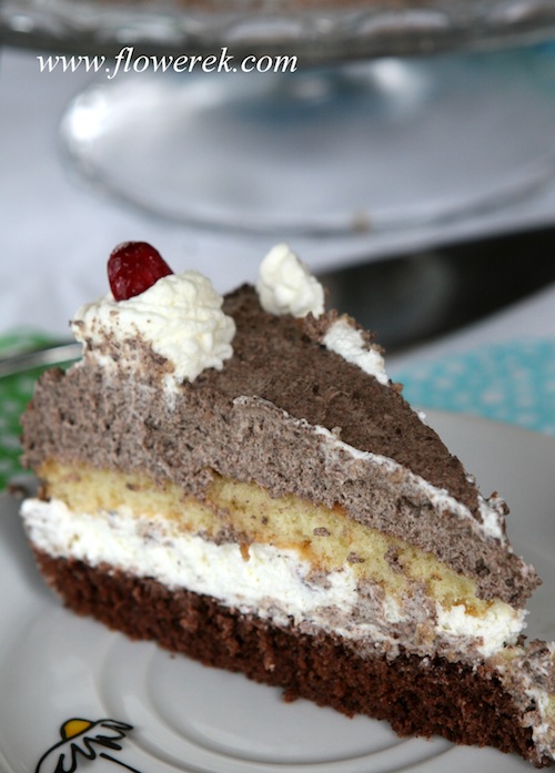 cream and chocolate cake cream and chocolate cake