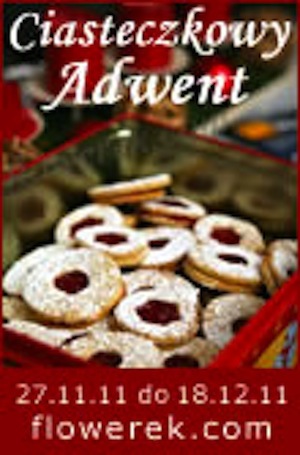 cookie advent challenge