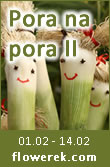 Pora na Pora II event