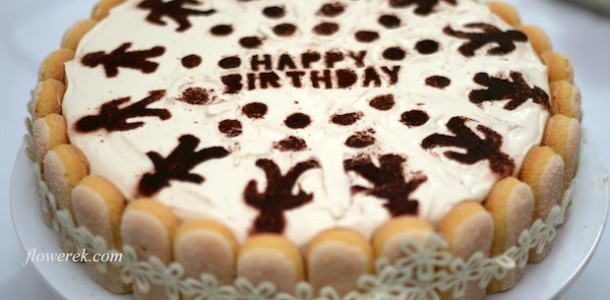 Tiramisu cake