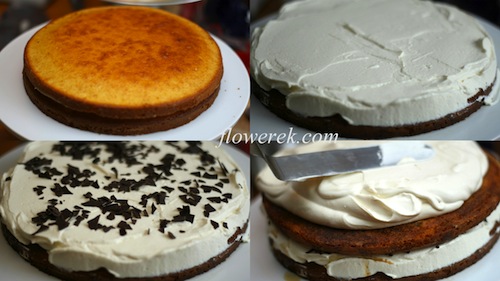 Tiramisu Cake Tiramisu cake