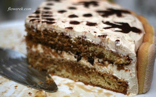 Tiramisu Cake Tiramisu cake