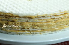 Wafers layered with dulce de leche