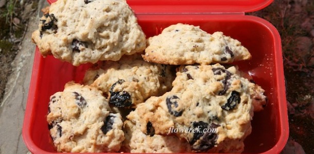 Oatmeal cookies