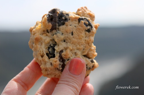 Oatmeal cookies
