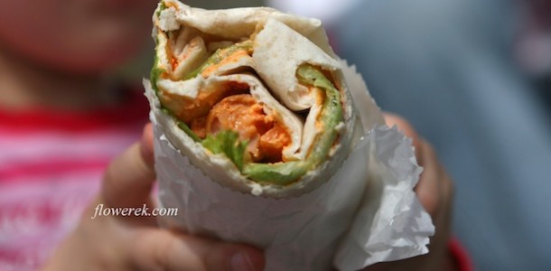 Picnic Wrap