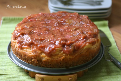 Rhubarb cheesecake