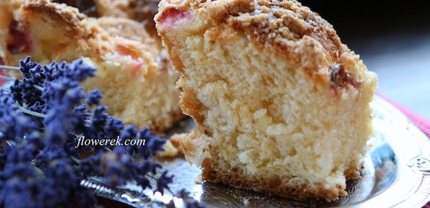Plum yeast cake